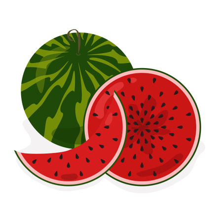 Watermelon icon set vector illustration design isolatedのイラスト素材