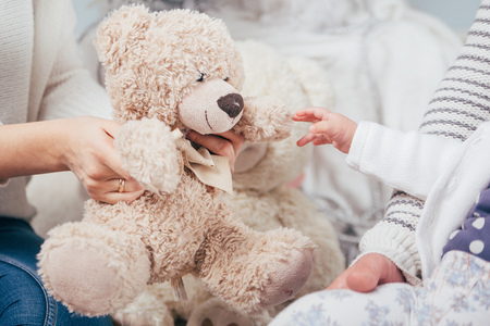 teddy bearの写真素材