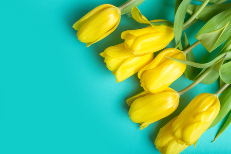 Bouquet of tulips in color backgroundの写真素材