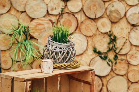 Wooden photo zone with green plants decoration and decorations. Woodの写真素材