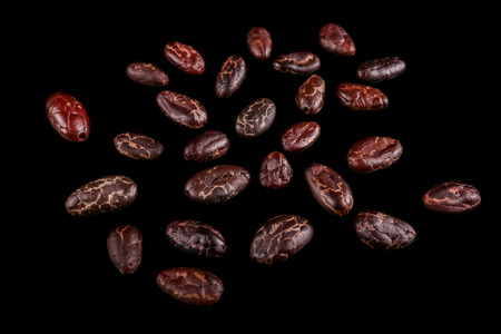 Roasted beans. Cocoa beans and coffee beans isolated on black background.の写真素材