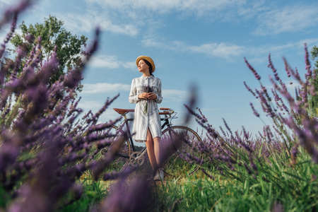Woman with retro bicycle and lavender bouquetの写真素材
