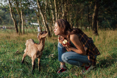 Beautiful woman farmer feeding small goat in countryside. Concept of friendship human and animal in natureの写真素材