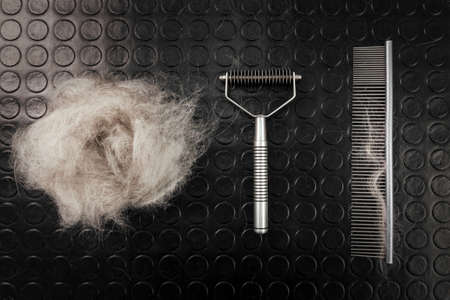 Dog grooming tools and accessories set on black backgroundの写真素材