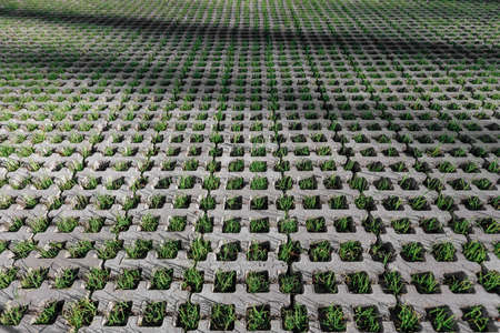 Turf block. Eco-friendly coating - concrete lawn grillの写真素材