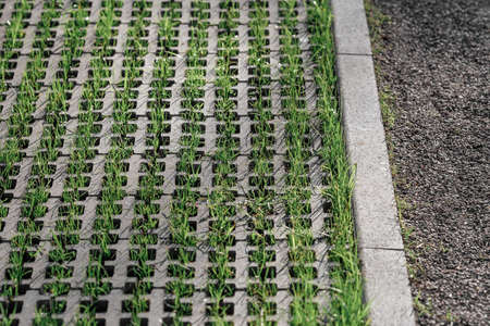 Turf block. Eco-friendly coating - concrete lawn grill