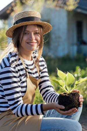 Woman gardener holding plant in hands in gardenの写真素材