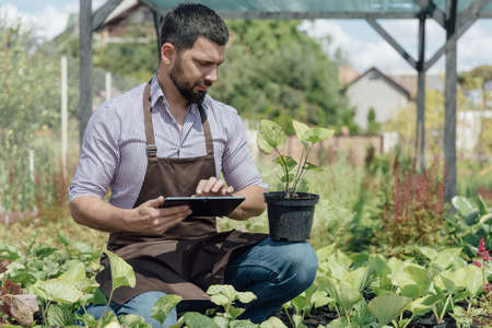 Man-gardener with gadget and plant in garden center