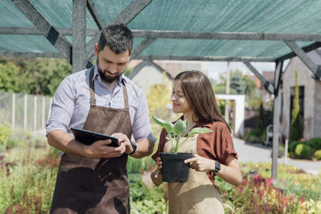 Young man and woman-gardeners take care about perennial plants in garden centerの写真素材