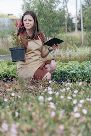 Woman-gardener with gadget and plant in garden centerの写真素材