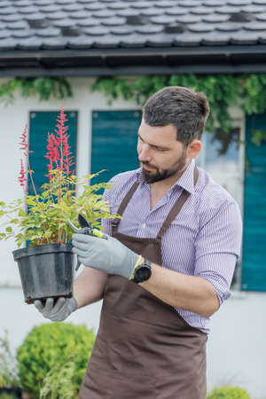 Stylish guy-gardener with green plant in hands on green house backyardの写真素材