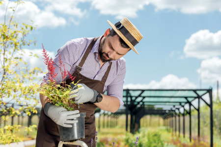 Stylish guy-gardener with green plant in hands on green house backyardの写真素材