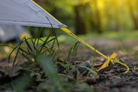 tent pegs for strong winds and storms protectionの素材 [FY310212620325]