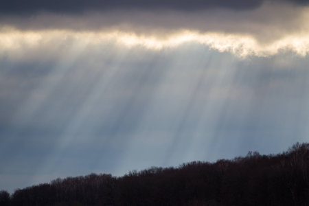 The sun's rays make their way through clouds on dark forest