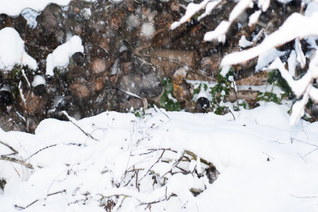 Firewood is covered with snow due to bad weather in winter.の写真素材