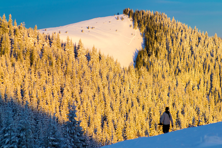The silhouette of a man against the backdrop of a mountain forest in snow. The morning sunshine on a hill that covered with spruce forestの写真素材