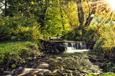 Waterfall in a forest is illuminated by the sunbeamsの写真素材