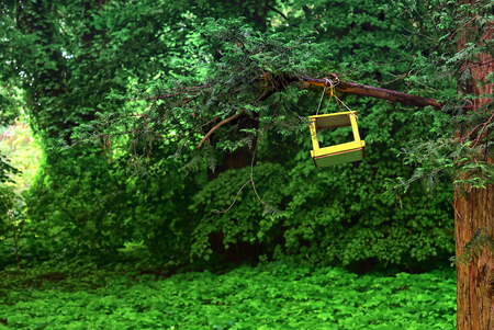 Yellow bird house on a tree in a parkの写真素材