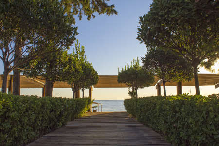Path to the beach on a sunny morning.の写真素材