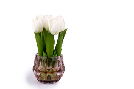 Bouquet white tulips in a vase on a white background side viewの写真素材