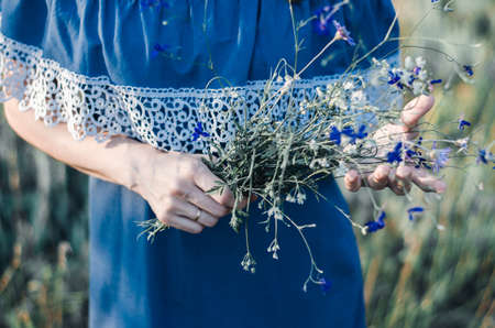 Woman holds in her hands a bouquet of wildflowers. Model in a blue dress in the rays of sunlight