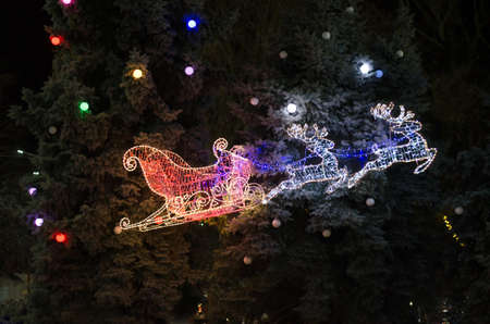 Flying sleigh of santa claus against the background of large trees. Christmas decoration from LED lamps. Christmas 2021の写真素材