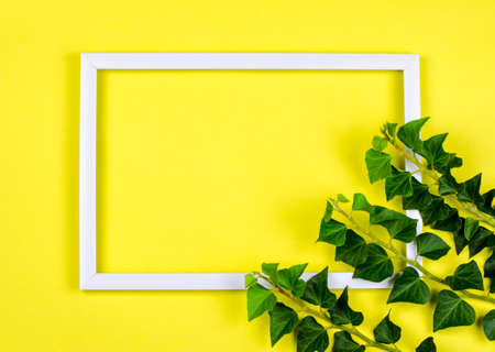 White rectangular frame on a yellow background decorated with ivy branches.の写真素材