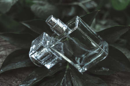 Bottle of men's perfume with water drops on a background of wet leavesの写真素材