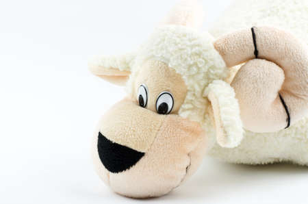 White lamb close-up on a white background. Kids toyの写真素材