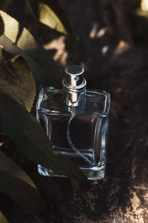 A bottle of mens perfume on the background of nature. Perfume on a background of dark green leaves