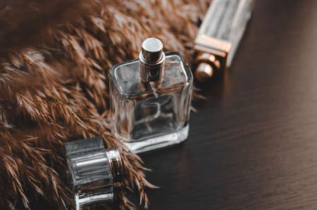 Male and female perfume on a dark wooden background with a sprig of reedsの写真素材