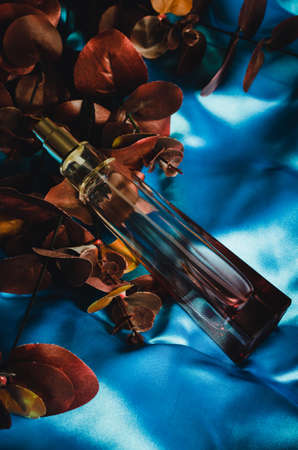 Perfume for women with eucalyptus sprig on blue background