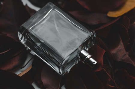Dark photo of male perfume on red leaves. Men's perfume on a background of autumn leaves