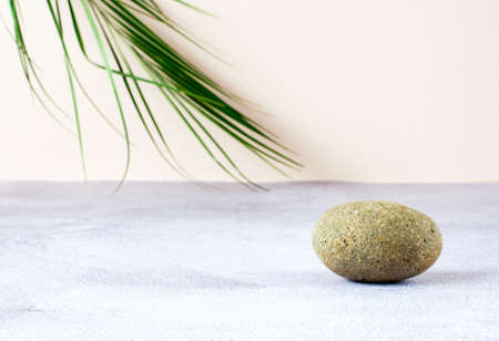 Natural stone cosmetics podium. Podium for cosmetics on a green leaf backgroundの写真素材