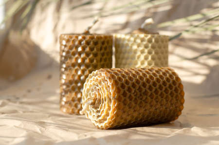 Handmade decorative wax candles with beautiful shadows. Candles in sunlightの写真素材