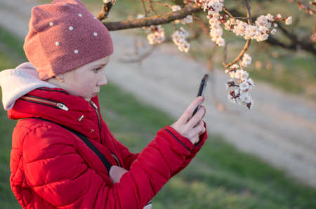 A 10-year-old girl photographs an apricot tree in bloom. Teenage girl photographing flowers on a...