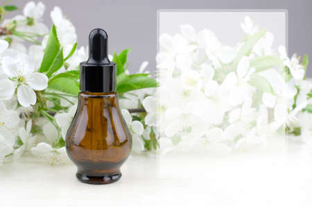 Essential oil with cherry tree extract. Natural herbal products. Serum bottle against the background...