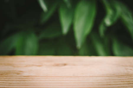 Wooden table close-up with blurred natural background. Green natural blurred background with wooden table for product advertisingの写真素材