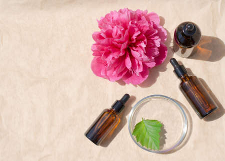 Peony extract. Peony flower essential oil. Glass bottles with serum on a beige background. Cosmetic productsの写真素材