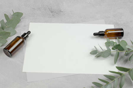 Eucalyptus sprigs and glass bottles with essential oil on a concrete background with space for text....
