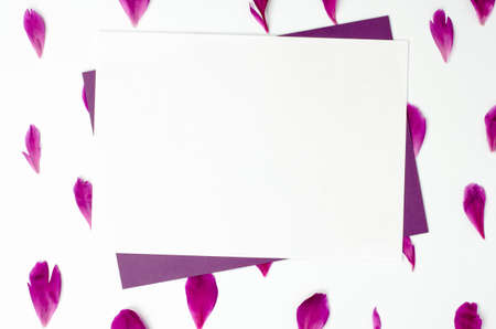 A blank sheet of paper on peony petals. Blank for a greeting card or invitation. Congratulations on the holidays, copy spaceの写真素材