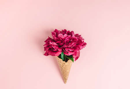 Peony flower in a waffle cup for ice cream on a pink background. Spring and summer concept, minimalism. Copy space.の写真素材