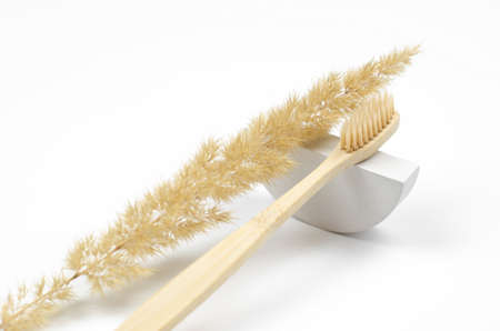 Taking care of the oral cavity. Wooden toothbrush on a plaster podium with a sprig of pampas grass...