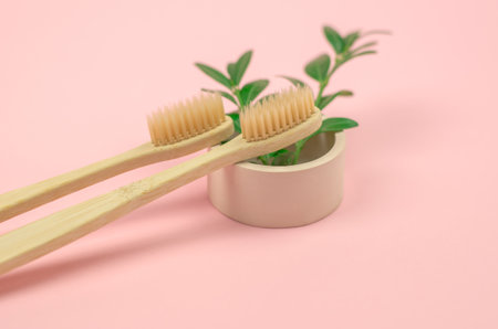 Oral cavity care. Two wooden toothbrushes and green leaves on a round podium. Eco-friendly personal hygiene items. No waste, no plastic.の写真素材