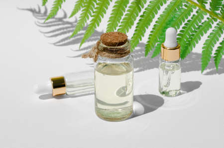 Natural cosmetics, skin care. Essential oils in transparent bottles on a white background with a fern branch and shadows, copy space.の写真素材