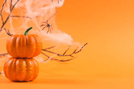 Halloween holiday concept. Decorations for halloween on an orange background with place for text. Pumpkins and spiders on a web with branches on an orange background. Halloween partyの写真素材