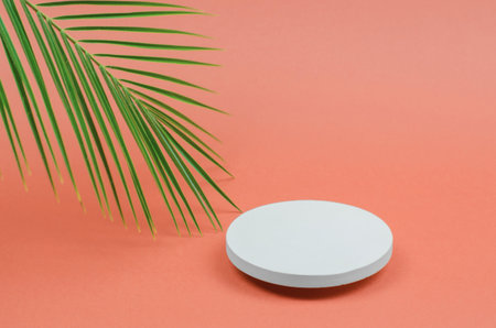 Round podium for the presentation of products and cosmetics made of natural stone with a palm branch. Empty showcase for packaging. Cosmetic beauty showcaseの写真素材