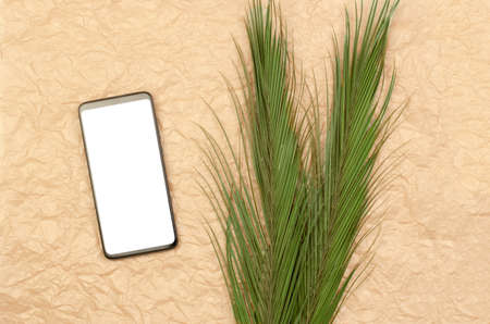 Smartphone with blank white display on crumpled beige background with palm leaves