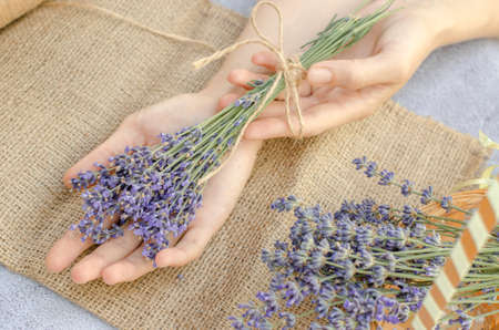 Bouquet of fresh lavender in female hands, selective focusの写真素材