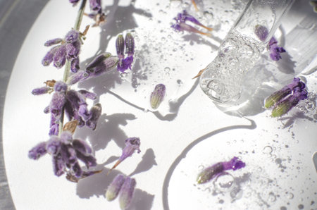 Transparent cosmetic gel with lavender flowers in a Petri dish. Close-up - the structure of the lavender gel. Laboratory research and development of cosmetics for body careの写真素材